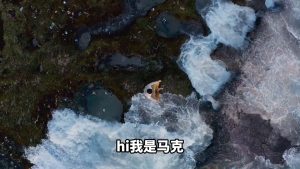 21天科学冥想计划｜第1节 基础冥想的视频画面预览