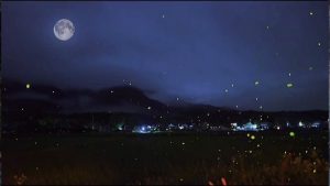 21天科学冥想计划｜第20节：睡前感恩冥想的视频画面预览
