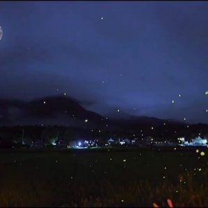 21天科学冥想计划｜第20节：睡前感恩冥想
